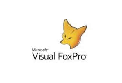 Visual foxpro 9.0 portable download